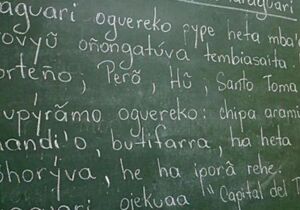 Conheça o Guarani para brasileiros