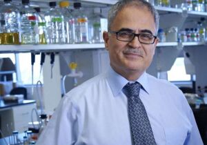 Passo para a cura: cientistas eliminam vírus HIV em animais